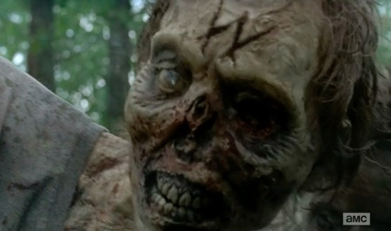 whisperers-walking-dead