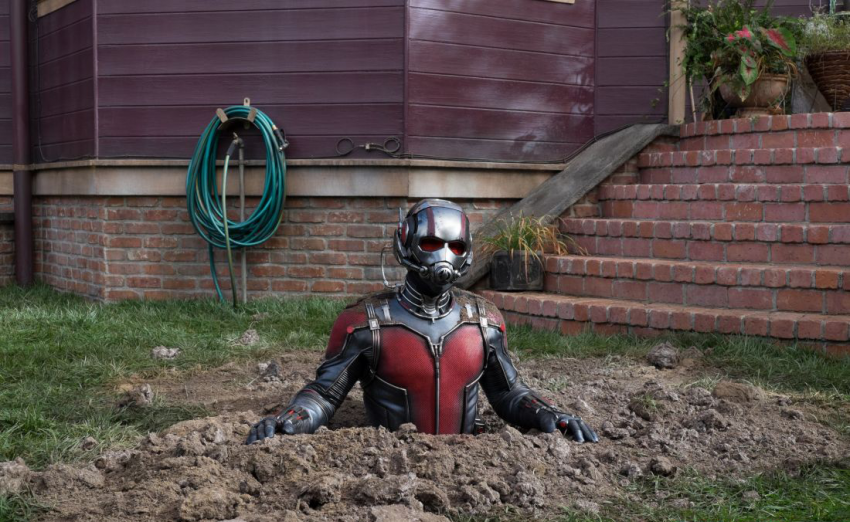 ant-man