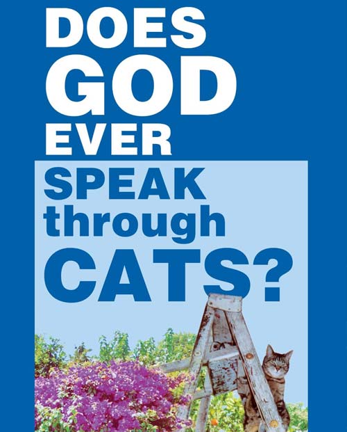 dios-hablar-gatos