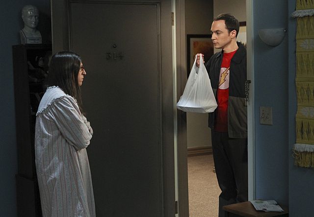 amy the big bang theory