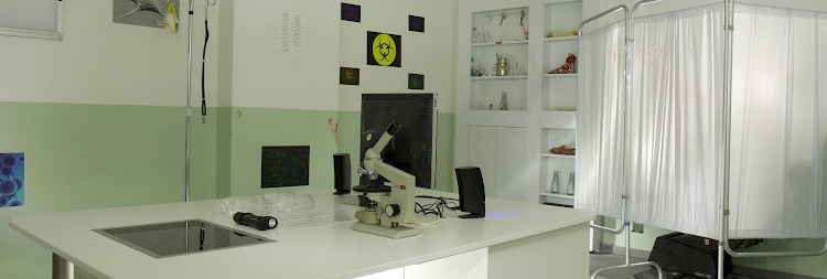 laboratorio zombi, escape room de terror de Madrid