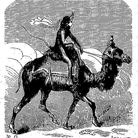 paimon dibujo
