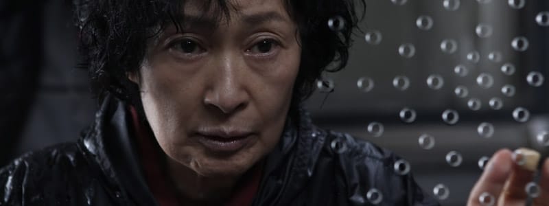 pelicula coreana mother