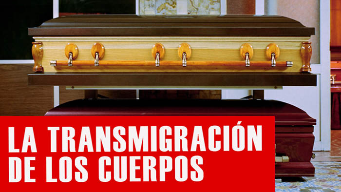 transmigracion cuerpos libro pandemias